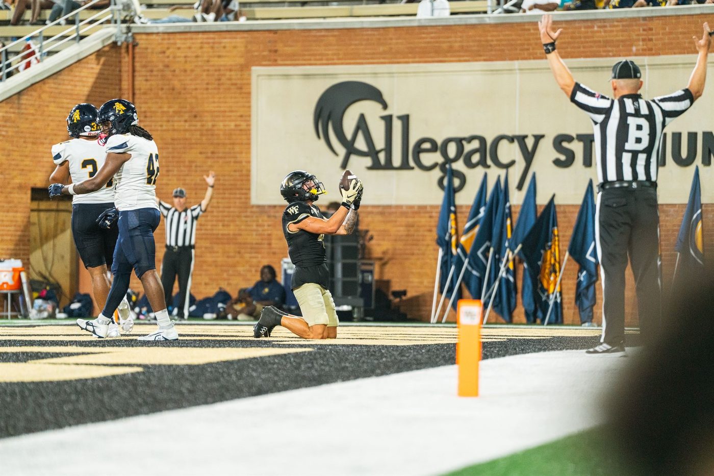 Touchdown catch in the end zone